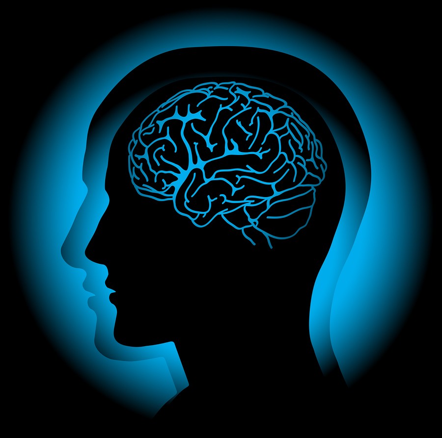 뇌에 전기 자극…단기 기억 재생 성공?