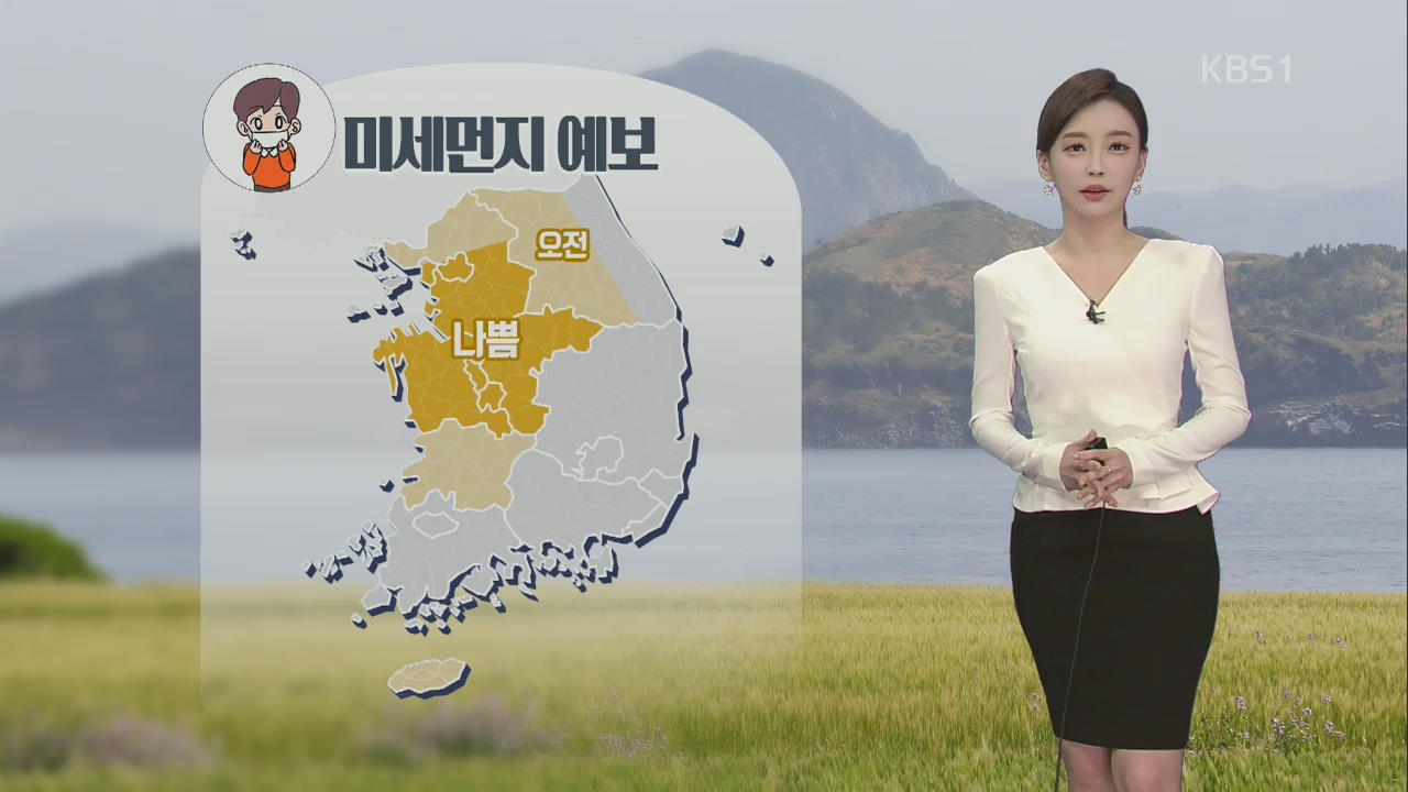 미세먼지 나쁨, 서울·인천·경기 남부·충청권은 '나쁨', 그 밖의 권역은 ‘보통’