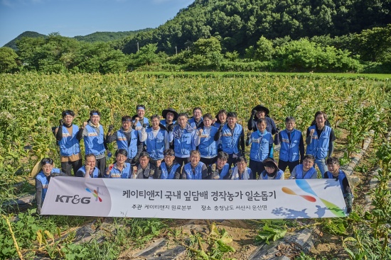 KT&G, 농가와 상생 실천-잎담배 수확 봉사활동